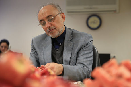 علی‌اکبر صالحی، رییس سازمان انرژی اتمی 